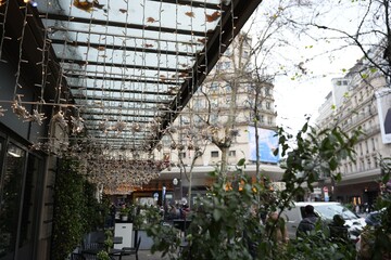 Twinkling string lights and greenery on Parisian cafe terrace in city street 