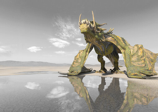dragon on the desert after rain