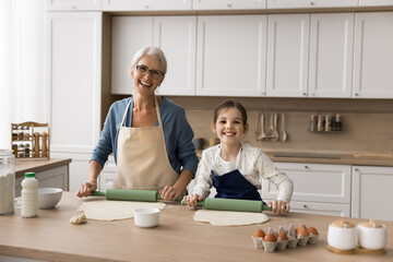 My little assistant. Family portrait happy smiling elderly female grandparent little tween age...