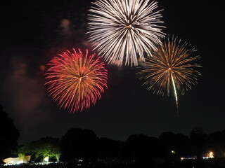colorful firework in Showa Kinen park, Tachikawa, Tokyo in July summer 2023