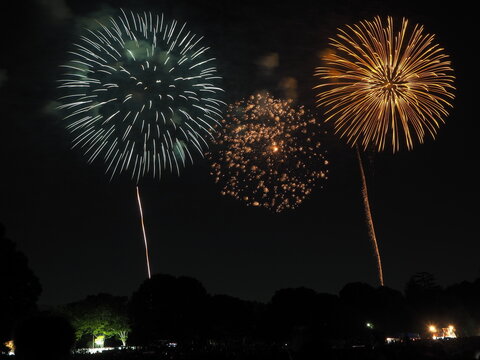 colorful firework in Showa Kinen park, Tachikawa, Tokyo in July summer 2023