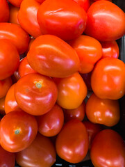 Bright red tomatoes arranged in a container.