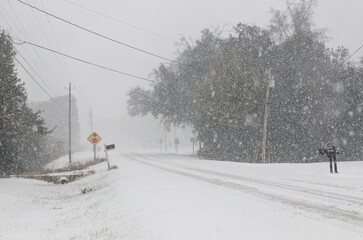 Snow on Bellingrath Road in Coden Alabama, rare Gulf Coast Blizzard or Winter Storm Enzo landscape, concept of climate change