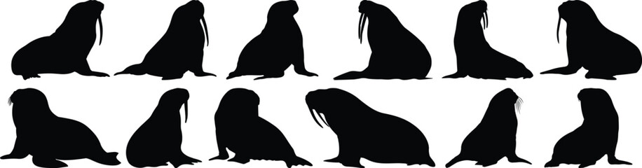 Sea silhouette set vector design big pack of lion illustration and icon