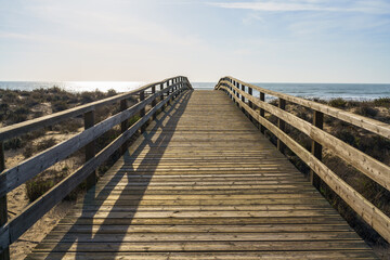 Fototapeta premium Wooden boardwalk leading to a sandy beach with the ocean visible in the background.