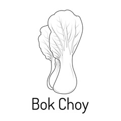 Black and white line art illustration of Bok Choy. Minimalistic vegetable design perfect for coloring books, culinary projects, healthy lifestyle concepts, or educational materials.