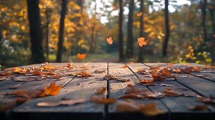  Autumn Table - Orange Leaves And Wooden Plank At Sunset In Forest 