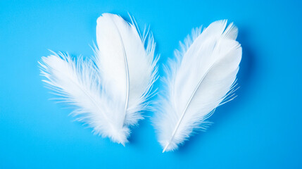 Delicate white feathers elegantly contrast against a serene blue backdrop, capturing the essence of nature's beauty and simplicity in a stunning macro view