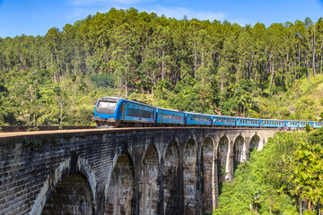 Train at Nine arch bridge,  Sri Lanka