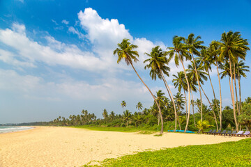 Shinagawa Beach in Sri Lanka