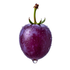 Single Purple Grape with Dewdrop on White Background