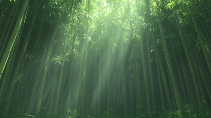 Sunlight Through Bamboo Forest: A Tranquil Green Sanctuary