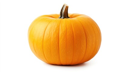 pumpkin butternut squash isolated on white background, full depth of field