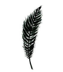 Watercolor golden pine tree twig hand drawn design element. Christmas fir branch monochrome drawing isolated. Modern conifer sprig graphic clip art 