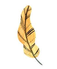 Watercolor golden pine tree twig hand drawn design element. Unusual decorative Christmas fir branch drawing in orange color isolated. Modern conifer sprig graphic clip art 
