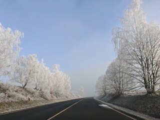 Obraz premium frost and snow covered trees along an empty speed road, winter time travelling concept during peaceful morning ride