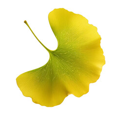 Naklejka premium Fresh green leaf isolated