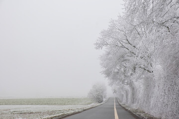 Landstrasse mit Nebel und Raureif, Münsterland