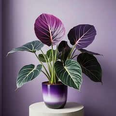 purple orchid in a vase