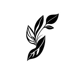 Elegant Black and White Botanical Leaf Illustration: Minimalist Floral Design for Nature Lovers