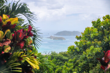 Distant view of the turquoise sea and small islands framed with blurred bright red and green croton leaves in foreground. Tobago island, Caribbean sea. © Nimbus Works