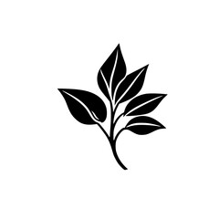 Elegant Black and White Botanical Leaf Illustration: Minimalist Plant Branch Design