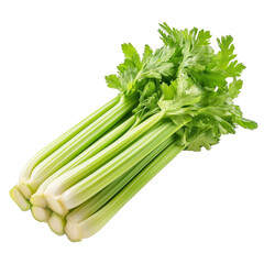 Fresh celery stalks arranged neatly on a clean transparent background showcasing its vibrant green color and crisp texture, Celery isolated on transparent background