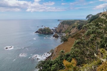 Coastal New Zealand scenery. Rocky shoreline meets lush pohutukawa hillside. Ocean waves crash against the rocks. Mahinepua Peninsula, Kaeo, Northland, NZ