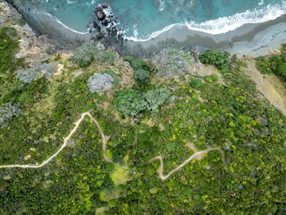 Coastal hiking trail winds through lush New Zealand forest, overlooking a secluded beach. Mahinepua...