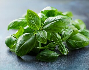Fototapeta premium fresh bunch of basil