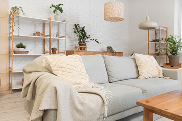 Interior of living room with comfortable sofa, houseplants and shelving units