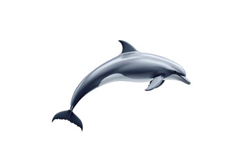 Fototapeta premium Graceful Dolphin Leaping in the Air