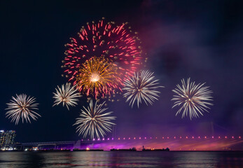Bright beautiful colorful fireworks celebration in the night sky. Photo taken in Busan, South Korea during the Busan Fireworks Festival 2024