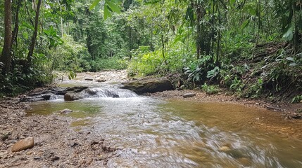 Obraz premium Babbling brook surrounded by dense forest greenery, with the sound of water flowing over rocks and soft light filtering through the trees.