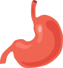 Various types of body organs