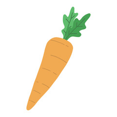 Carrot vector illustration