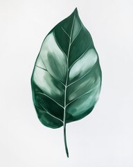 Green leaf art painting, wall art, design, realistic, textured painting