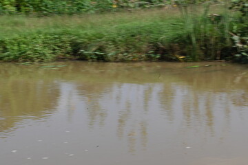 River water flowing through stones and rocks. Mountain river flows through green forest. Wild river flowing through the mountain.
