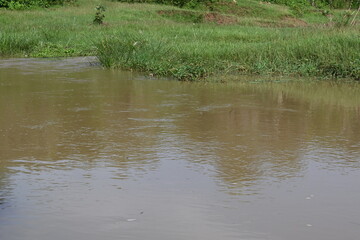 River water flowing through stones and rocks. Mountain river flows through green forest. Wild river flowing through the mountain.