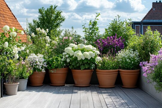 Vibrant rooftop garden with flowering plants in terracotta pots. Ideal for articles on gardening, home decor, or outdoor living.