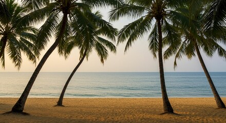 Tropical Beach Sunset Palm Trees Ocean Sand Vacation