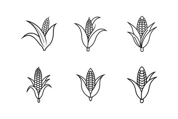 corn stalk line art vector illustration