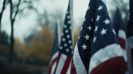 Respectful Veterans Day 2024 ceremony featuring veterans saluting and American flags, highlighting a dignified and honorable tribute for Veterans Day and memorial content.