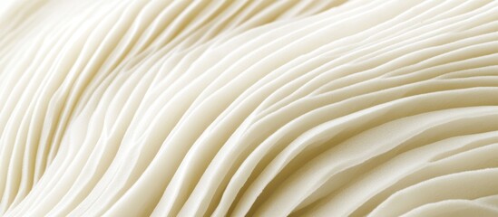 Close-up of creamy white layered texture.