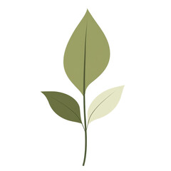 Fototapeta premium A stylized illustration of a simple plant featuring three leaves of varying shades of green and a slender stem.