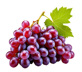 Fototapeta premium Dewy Fresh Grapes isolated on Transparant PNG