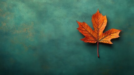 Autumn Maple Leaf on Teal Background
