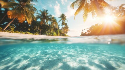 Stunning underwater view reveals colorful fish swimming beneath clear water with lush palms silhouetted against the golden sunlight