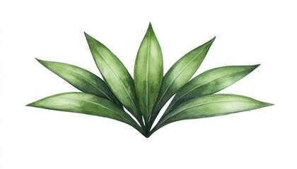 Lush green leaves arranged symmetrically, showcasing their vibrant colors and textures