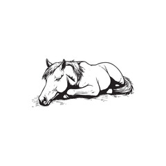 sleeping horse
